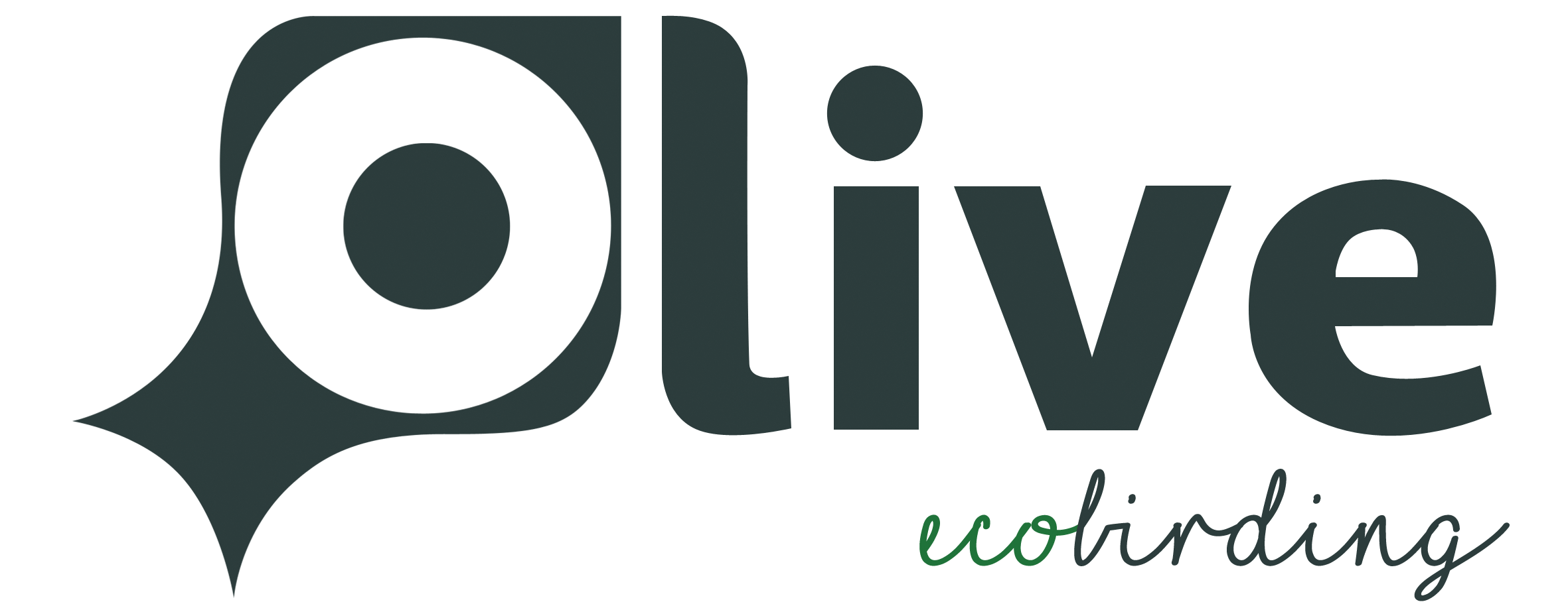 OLive EcoBirding